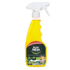 Средство для очистки стёкол и зеркал 500мл Master FRESH
