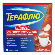 Терафлю экстра порошок №10
